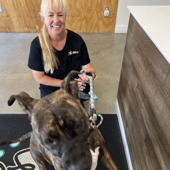 petbar Boutique - League City - They were very sweet to my pit and did a very good job on her nails and bath. - Pet Groomers Near Me - League City, Texas petbar Boutique - League City - They were very sweet to my pit and did a very good job on her nails and bath. - Pet Groomers Near Me - League City, Texas