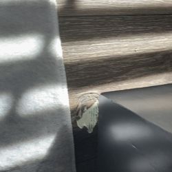 Furniture and Beyond - Jonesboro - FLOOR DAMAGE