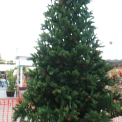 Centro Comercial El Crucero - Árbol navideño.