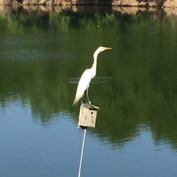 Aquatone Pool Care - This guy needs to find a bigger house!! Things we see in our daily travels!! - Pool Cleaners Near Me Aquatone Pool Care - This guy needs to find a bigger house!! Things we see in our daily travels!! - Pool Cleaners Near Me