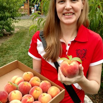 Grossen Peaches - The peaches were like something out of a magazine. They were so juicy and perfect! - Fruits & Veggies Near Me - Hillsboro, Oregon Grossen Peaches - The peaches were like something out of a magazine. They were so juicy and perfect! - Fruits & Veggies Near Me - Hillsboro, Oregon