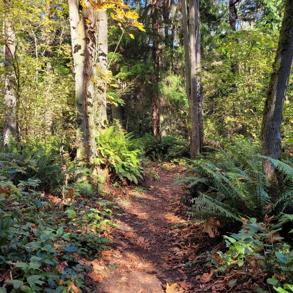 Carkeek Park - Parks Near Me - Seattle, Washington