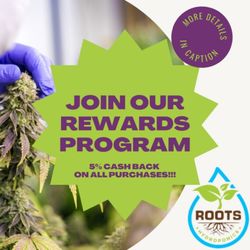 Roots Hydroponics