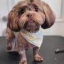 Photo of Doggy Do's Grooming