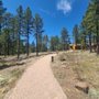 Museum of Northern Arizona Ventures Trips and Custom Tours
