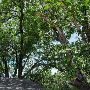 Arringtons Landscaping and Tree Trimming - Limb removed over garage - Tree Services Near Me Arringtons Landscaping and Tree Trimming - Limb removed over garage - Tree Services Near Me