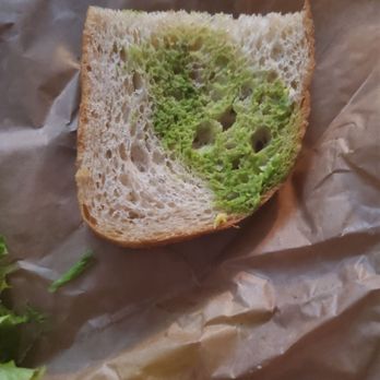 Panera Bread - Sandwiches Near Me - Woodbridge, Virginia Panera Bread - Sandwiches Near Me - Woodbridge, Virginia