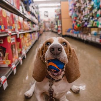 Pet Supplies Plus Garland - Pet Stores Near Me - Garland, Texas Pet Supplies Plus Garland - Pet Stores Near Me - Garland, Texas
