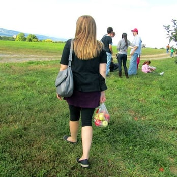Apple Hill Farm - Fruits & Veggies Near Me - New Paltz, New York