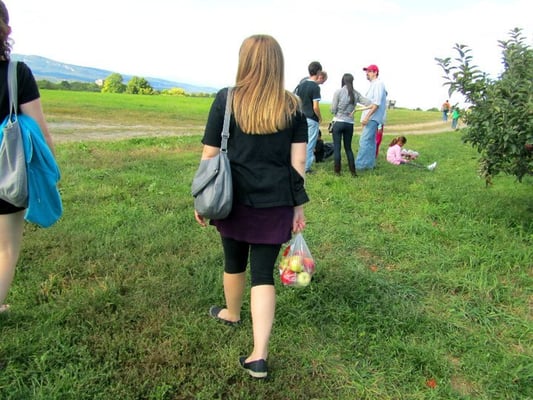 Apple Hill Farm by null