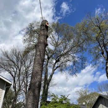 A&B Tree Service - Tree Services Near Me A&B Tree Service - Tree Services Near Me