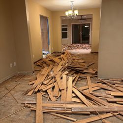 Total Floor Removal - Removal of 20 yr old bamboo that was badly cupped