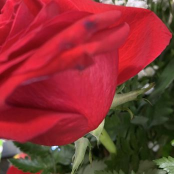 Blanquita's Flower Shop - Florists Near Me - Houston, Texas Blanquita's Flower Shop - Florists Near Me - Houston, Texas