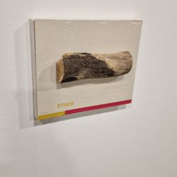 Galerie Waidspeicher - Impressionen