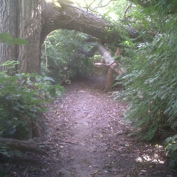 Wabash Heritage Trail - Definitely wooded with obstructions... - Hiking Near Me Wabash Heritage Trail - Definitely wooded with obstructions... - Hiking Near Me