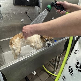 Pet Supplies Plus Rogers - Pet Stores Near Me - Rogers, Arkansas Pet Supplies Plus Rogers - Pet Stores Near Me - Rogers, Arkansas