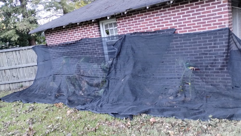 Slide of Arturos Ruffin