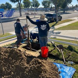 Plumbing Perfection and Rooter Services