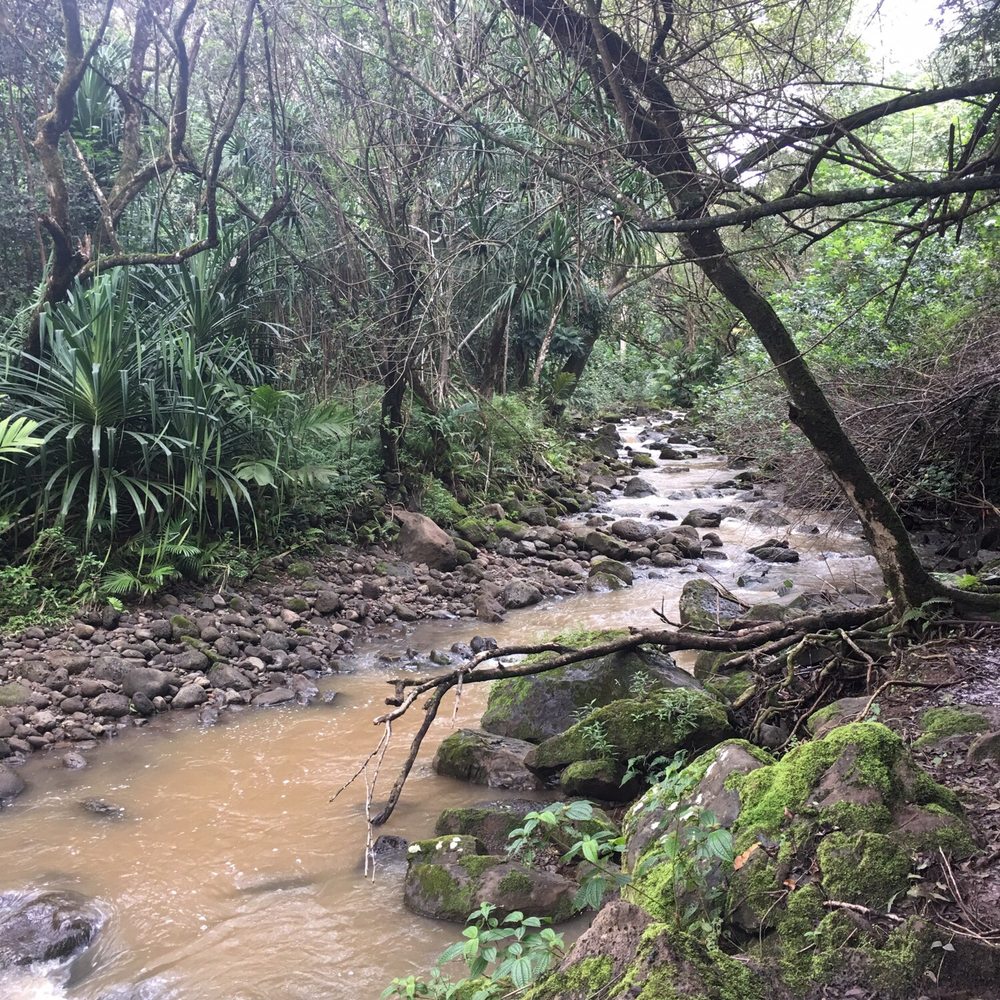 Waimano Loop Trail - Creek bottom. This can flood fast, so stay aware of the weather. - Hiking Near Me - Pearl City, Hawaii Waimano Loop Trail - Creek bottom. This can flood fast, so stay aware of the weather. - Hiking Near Me - Pearl City, Hawaii