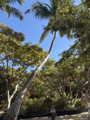 Bill Baggs Cape Florida State Park by null