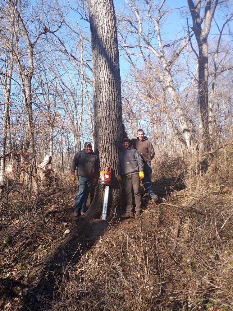 HAVENS LOGGING AND FIREWOOD Scales Mound, Illinois Tree Services