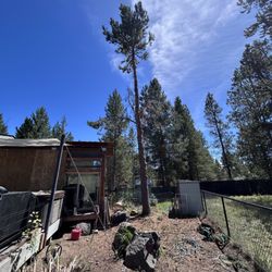 Ralston’s Tree and Firewood Services