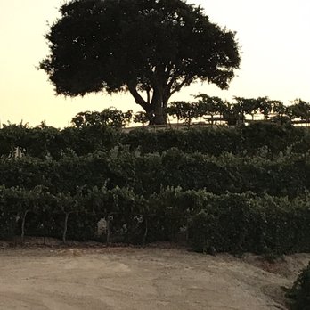 Pear Valley - Wineries Near Me - Paso Robles, California Pear Valley - Wineries Near Me - Paso Robles, California