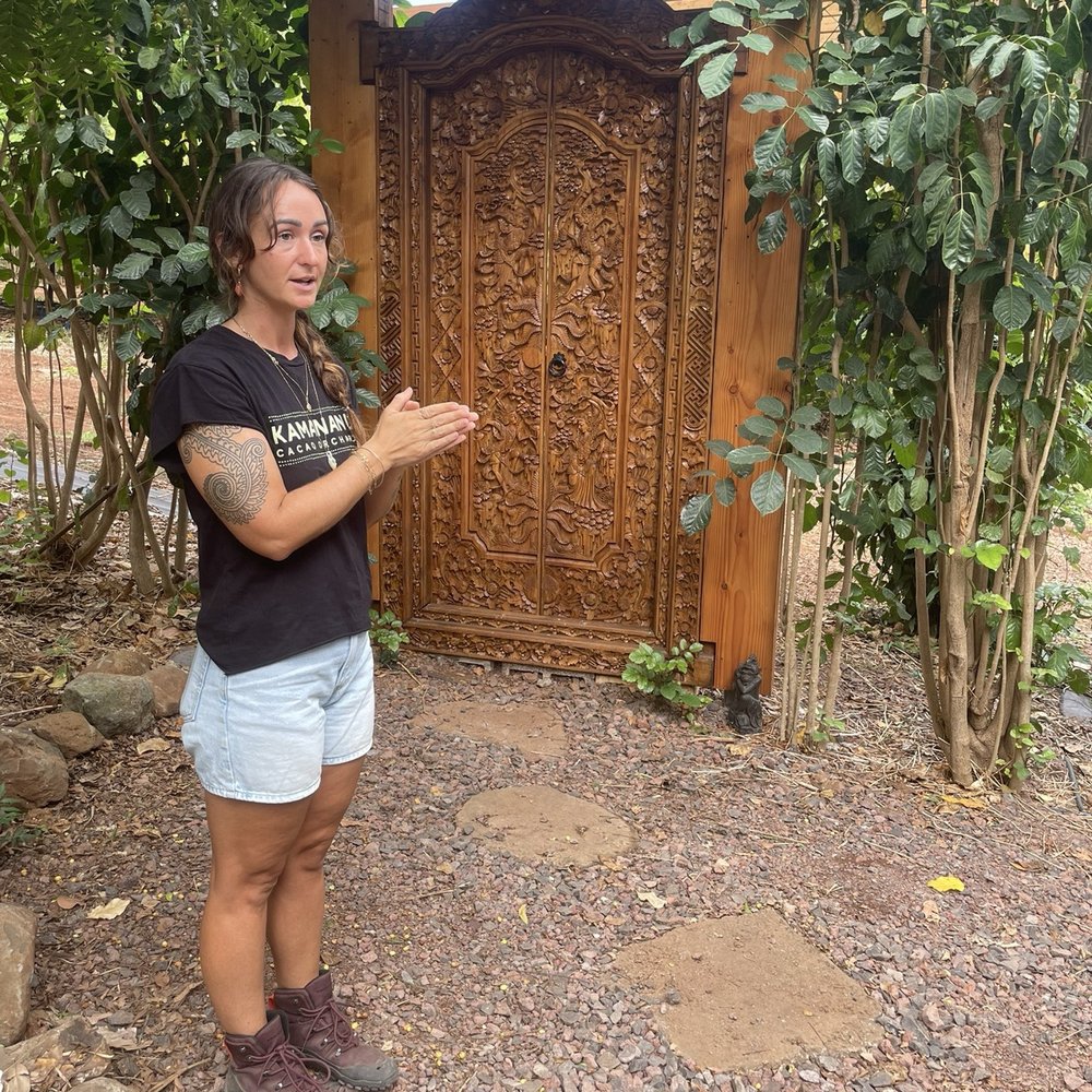 Kamananui Cacao Orchards - The door leading to the chocolate! - Attraction Farms Near Me - Waialua, Hawaii Kamananui Cacao Orchards - The door leading to the chocolate! - Attraction Farms Near Me - Waialua, Hawaii