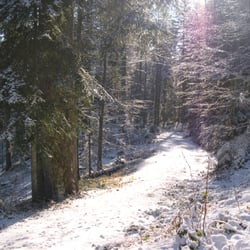 Landgasthof Sternen - Winterwanderweg