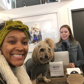 Dog & Co - Pet Stores Near Me - New York, New York