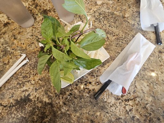 Phở Saigon Restaurant by null