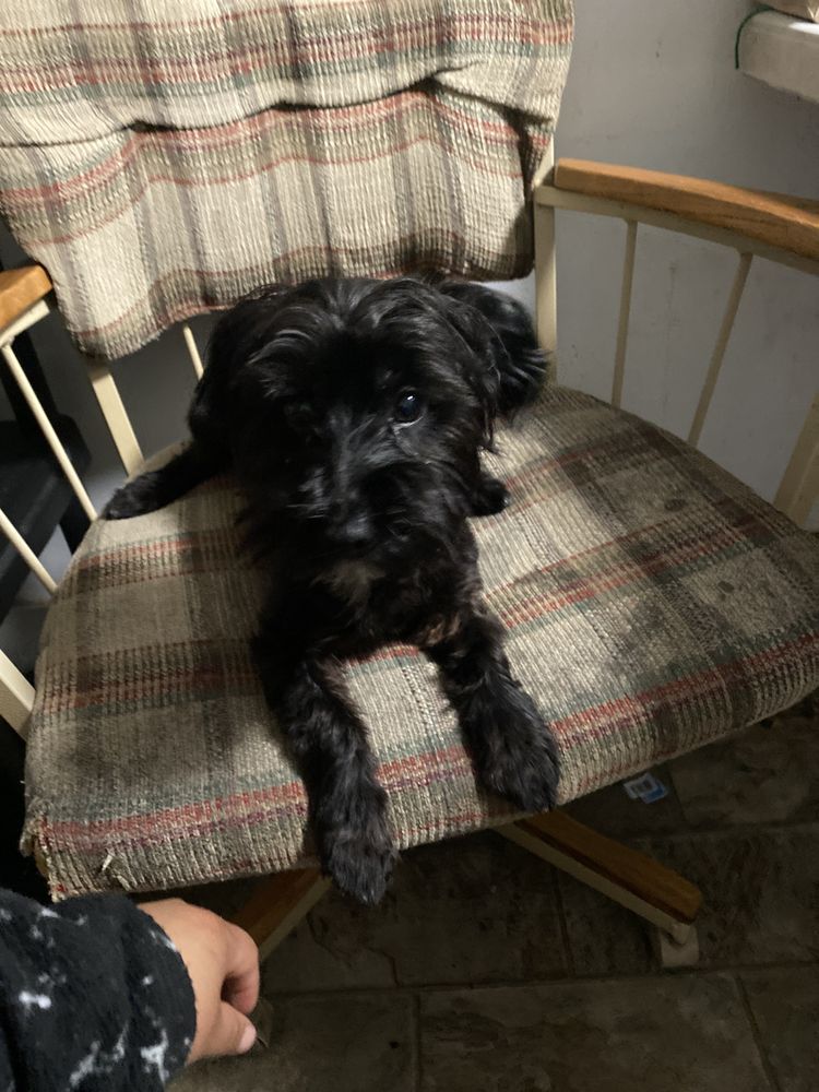 o Jupiter Florida Real Estate For Sale