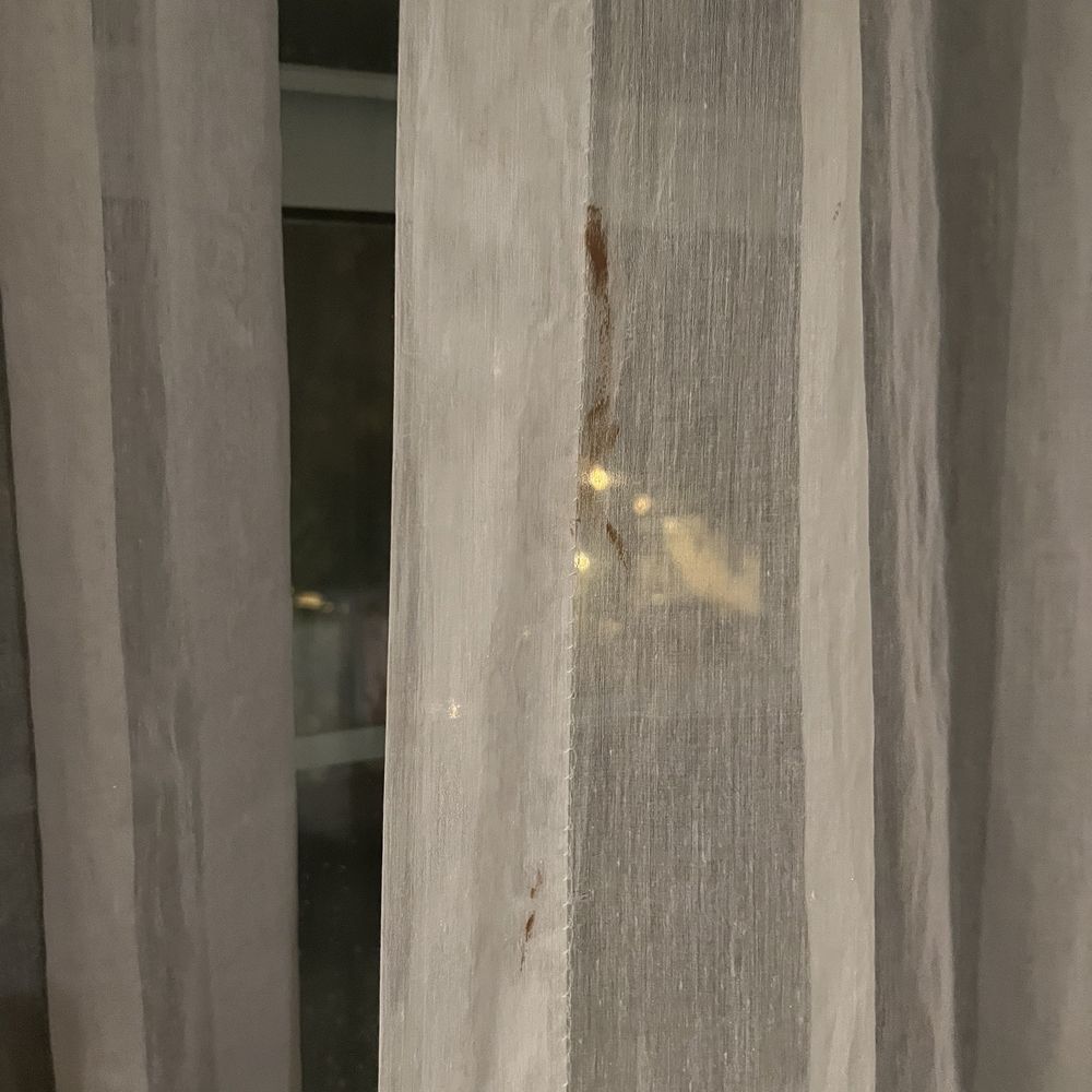 Esme Hotel Miami Beach - Blood stain on curtain - Hotels Near Me - Miami, Florida Esme Hotel Miami Beach - Blood stain on curtain - Hotels Near Me - Miami, Florida