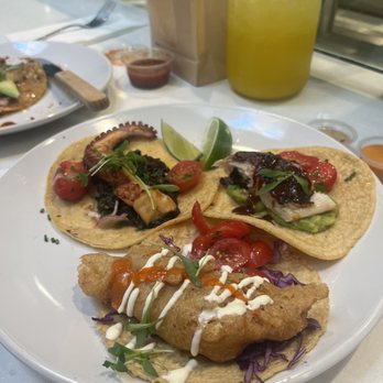 Holbox - Latin American Near Me - Los Angeles, California Holbox - Latin American Near Me - Los Angeles, California