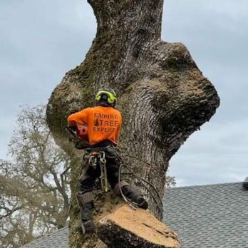 Empire Tree Experts - Tree Services Near Me - Santa Rosa, California Empire Tree Experts - Tree Services Near Me - Santa Rosa, California