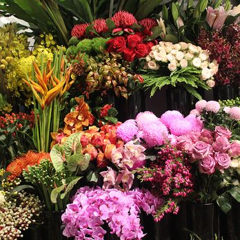 FLOWERS FOR EVERYONE - Updated July 2025 - 40 Photos - 3 Sussex Street, Barangaroo New South Wales, Australia - Florists - Phone Number - Yelp