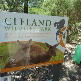 Cleland Wildlife Park - Coffee & Tea Near Me - Crafers, SA