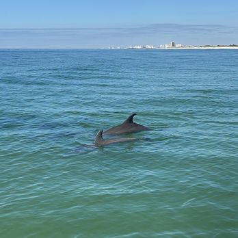 Adventures at Sea - Boating Near Me - Panama City Beach, Florida Adventures at Sea - Boating Near Me - Panama City Beach, Florida