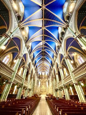 Notre Dame Cathedral Basilica by null
