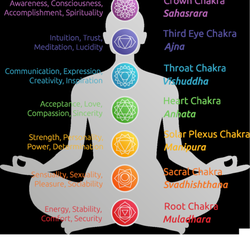 Siasoul Crystal - Seven Chakras of human body, starting with the Root at the lowest till Crown Chakra at the top