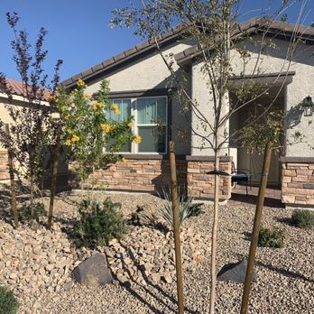 Arellano’s Tree Service - Yard after the work - Tree Services Near Me
