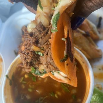 Rey Taco - Birria queso tacos - Mexican Near Me - Tucker, Georgia Rey Taco - Birria queso tacos - Mexican Near Me - Tucker, Georgia