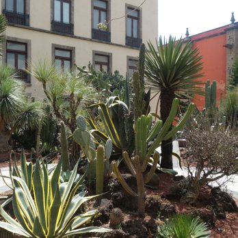 Palacio Nacional - Landmarks & Historical Buildings Near Me - México, D.F., DIF
