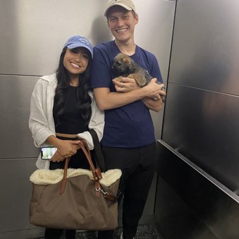 TLC Pet Transport - Pet Transportation Near Me TLC Pet Transport - Pet Transportation Near Me