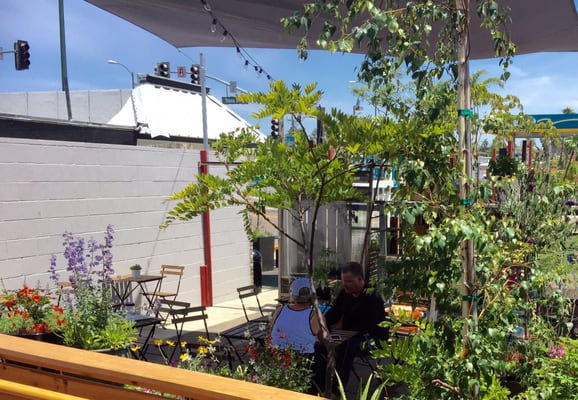 Communal Coffee by null