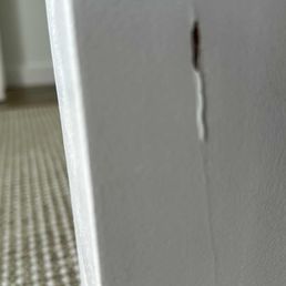 Skyroad Moving - Guest bed - Movers Near Me - Miami, Florida