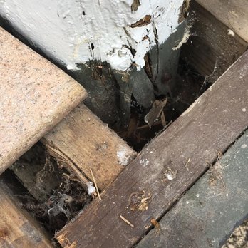 SiteCheck Home Inspections - Water damage to the porch support column will lead to a possible collapse. - Home Inspectors Near Me SiteCheck Home Inspections - Water damage to the porch support column will lead to a possible collapse. - Home Inspectors Near Me