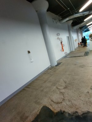 Art Academy of Cincinnati by null