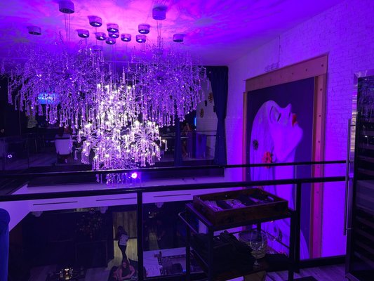 The Mayflower Club by null