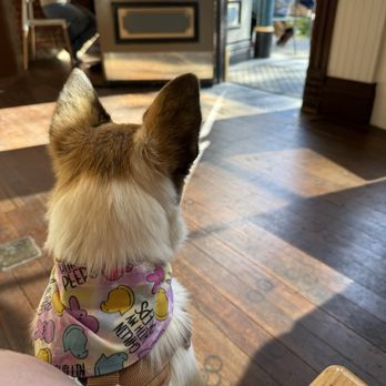 Gallery Coffee - Coffee & Tea Near Me - Woodland, California